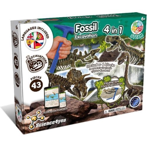 excavacion de fosiles para 7 cumpleaños